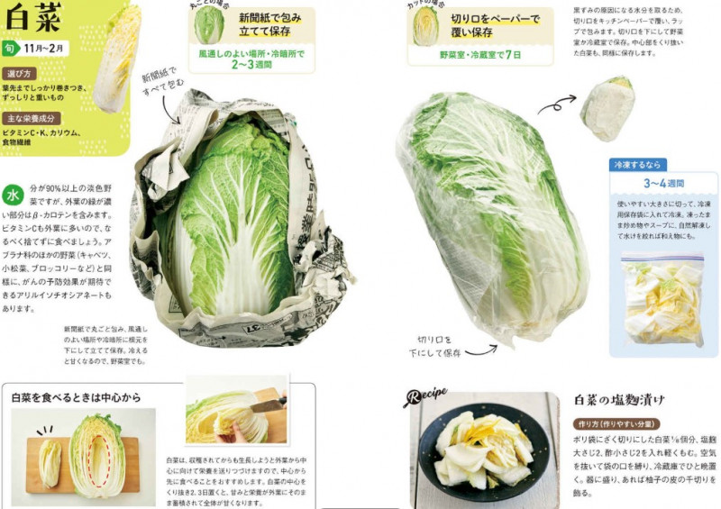 もっと早く知りたかった！永久保存級「野菜の取扱説明書」『野菜が